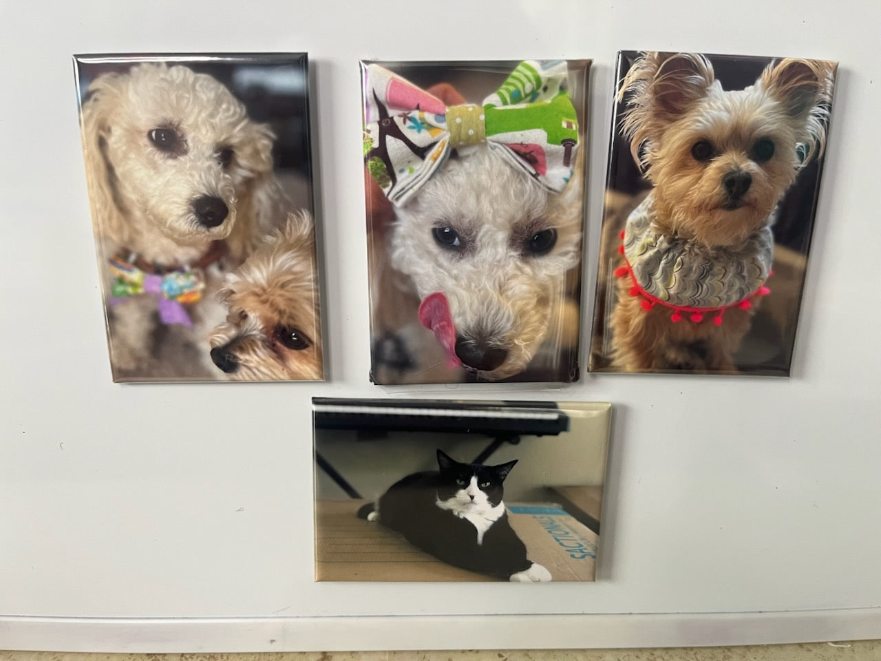 2 x 3" Rectangle Magnets